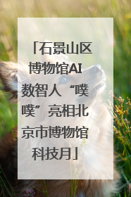 石景山区博物馆AI数智人“噗噗”亮相北京市博物馆科技月