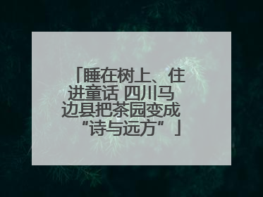 睡在树上、住进童话 四川马边县把茶园变成“诗与远方”