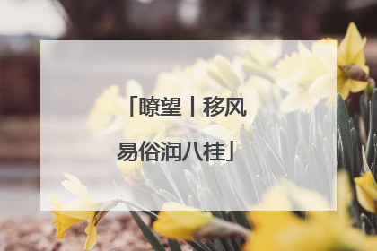 瞭望丨移风易俗润八桂