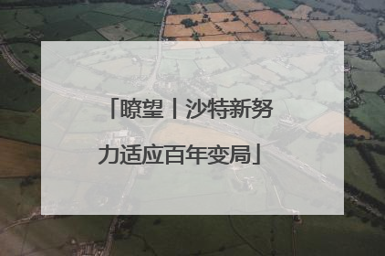 瞭望丨沙特新努力适应百年变局