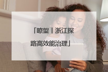瞭望丨浙江探路高效能治理