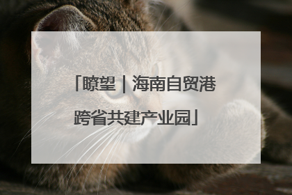 瞭望｜海南自贸港跨省共建产业园