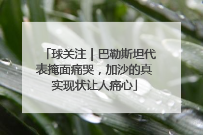 球关注｜巴勒斯坦代表掩面痛哭，加沙的真实现状让人痛心