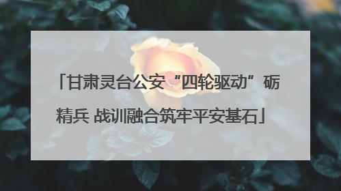 甘肃灵台公安“四轮驱动”砺精兵 战训融合筑牢平安基石