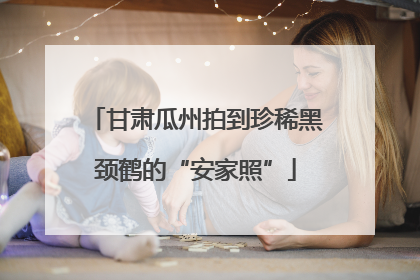 甘肃瓜州拍到珍稀黑颈鹤的“安家照”