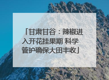 甘肃甘谷：辣椒进入开花挂果期 科学管护确保大田丰收