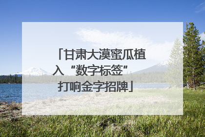 甘肃大漠蜜瓜植入“数字标签” 打响金字招牌