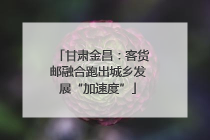 甘肃金昌：客货邮融合跑出城乡发展“加速度”