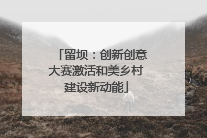 留坝：创新创意大赛激活和美乡村建设新动能