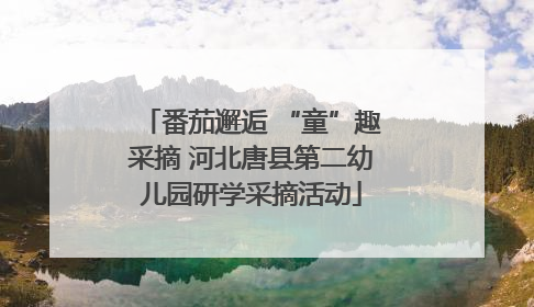 番茄邂逅 “童”趣采摘 河北唐县第二幼儿园研学采摘活动
