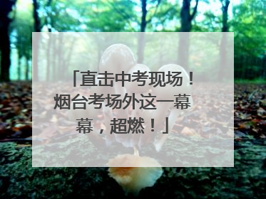 直击中考现场！烟台考场外这一幕幕，超燃！