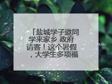 盐城学子邀同学来家乡 政府请客！这个暑假，大学生多项福利免费游盐城
