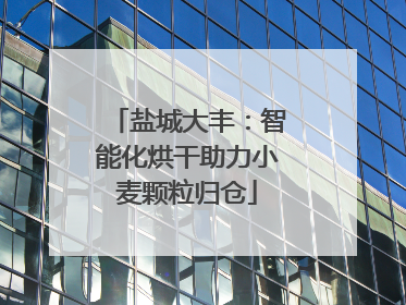 盐城大丰：智能化烘干助力小麦颗粒归仓