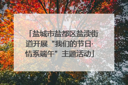 盐城市盐都区盐渎街道开展“我们的节日·情系端午”主题活动