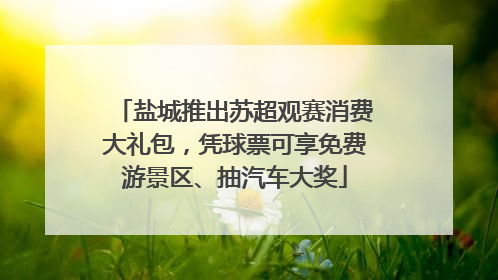 盐城推出苏超观赛消费大礼包，凭球票可享免费游景区、抽汽车大奖