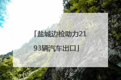 盐城边检助力2193辆汽车出口
