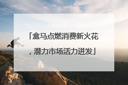 盒马点燃消费新火花，潜力市场活力迸发