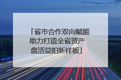 省市合作双向赋能 助力打造全省资产盘活益阳新样板