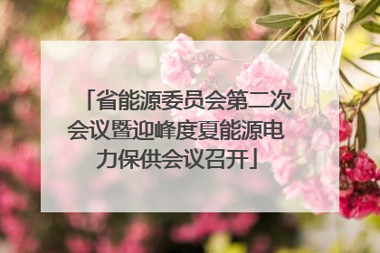 省能源委员会第二次会议暨迎峰度夏能源电力保供会议召开