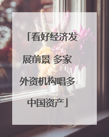 看好经济发展前景 多家外资机构唱多中国资产