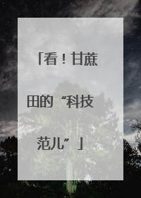看！甘蔗田的“科技范儿”