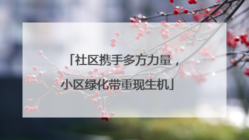 社区携手多方力量，小区绿化带重现生机