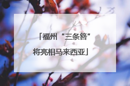 福州“三条簪”将亮相马来西亚