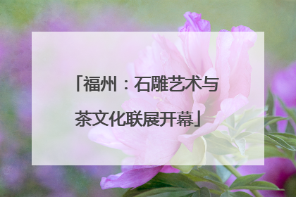 福州：石雕艺术与茶文化联展开幕