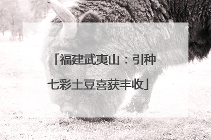 福建武夷山：引种七彩土豆喜获丰收