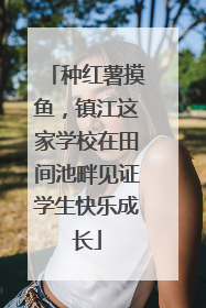种红薯摸鱼，镇江这家学校在田间池畔见证学生快乐成长
