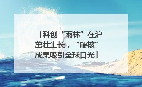 科创“雨林”在沪茁壮生长，“硬核”成果吸引全球目光