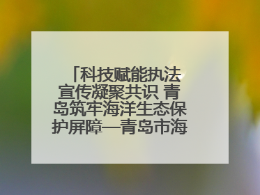 科技赋能执法 宣传凝聚共识 青岛筑牢海洋生态保护屏障—青岛市海洋发展局开展“世界海洋日”和“全国海洋宣传日”宣传活动