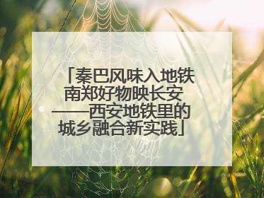 秦巴风味入地铁 南郑好物映长安——西安地铁里的城乡融合新实践