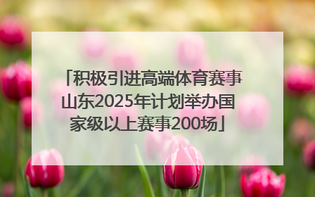 积极引进高端体育赛事 山东2025年计划举办国家级以上赛事200场