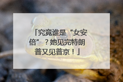 究竟谁是“女安倍”？她见完特朗普又见普京！