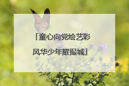 童心向党绘艺彩 风华少年耀撮城
