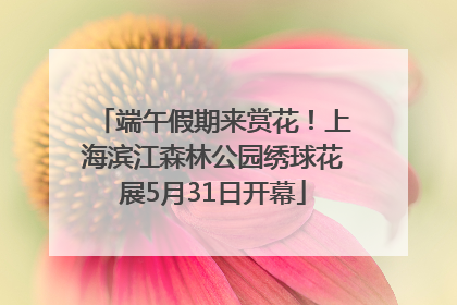 端午假期来赏花！上海滨江森林公园绣球花展5月31日开幕