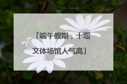端午假期，十堰文体场馆人气高