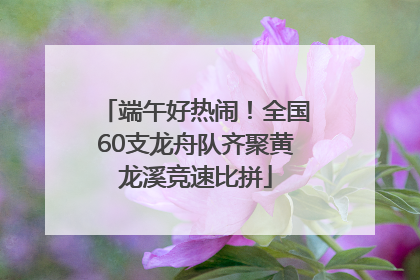 端午好热闹！全国60支龙舟队齐聚黄龙溪竞速比拼