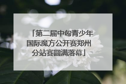 第二届中匈青少年国际魔方公开赛郑州分站赛圆满落幕