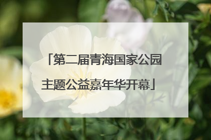 第二届青海国家公园主题公益嘉年华开幕