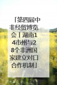第四届中非经贸博览会丨湖南14市州与28个非洲国家建立对口合作机制