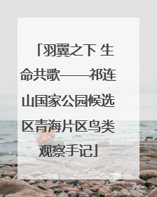 羽翼之下 生命共歌——祁连山国家公园候选区青海片区鸟类观察手记