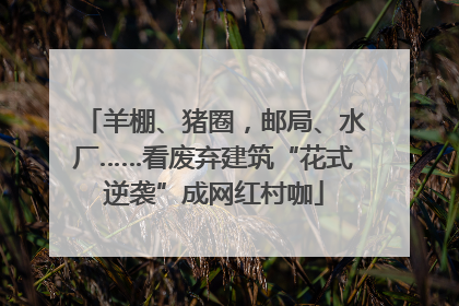 羊棚、猪圈，邮局、水厂……看废弃建筑“花式逆袭”成网红村咖