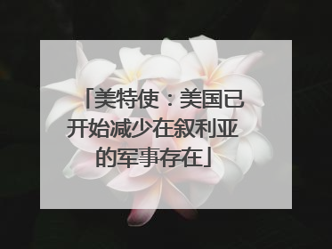 美特使：美国已开始减少在叙利亚的军事存在