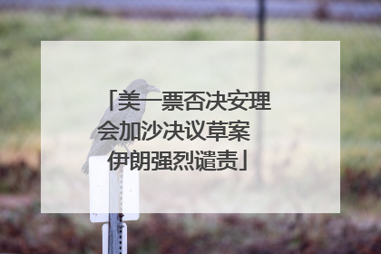 美一票否决安理会加沙决议草案 伊朗强烈谴责