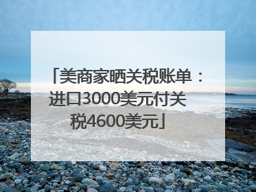 美商家晒关税账单：进口3000美元付关税4600美元