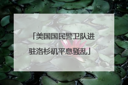 美国国民警卫队进驻洛杉矶平息骚乱