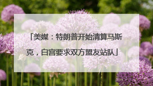 美媒：特朗普开始清算马斯克，白宫要求双方盟友站队