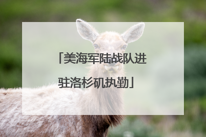 美海军陆战队进驻洛杉矶执勤